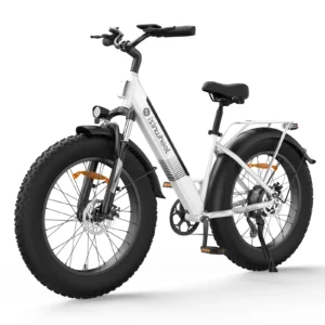 class2 ebike