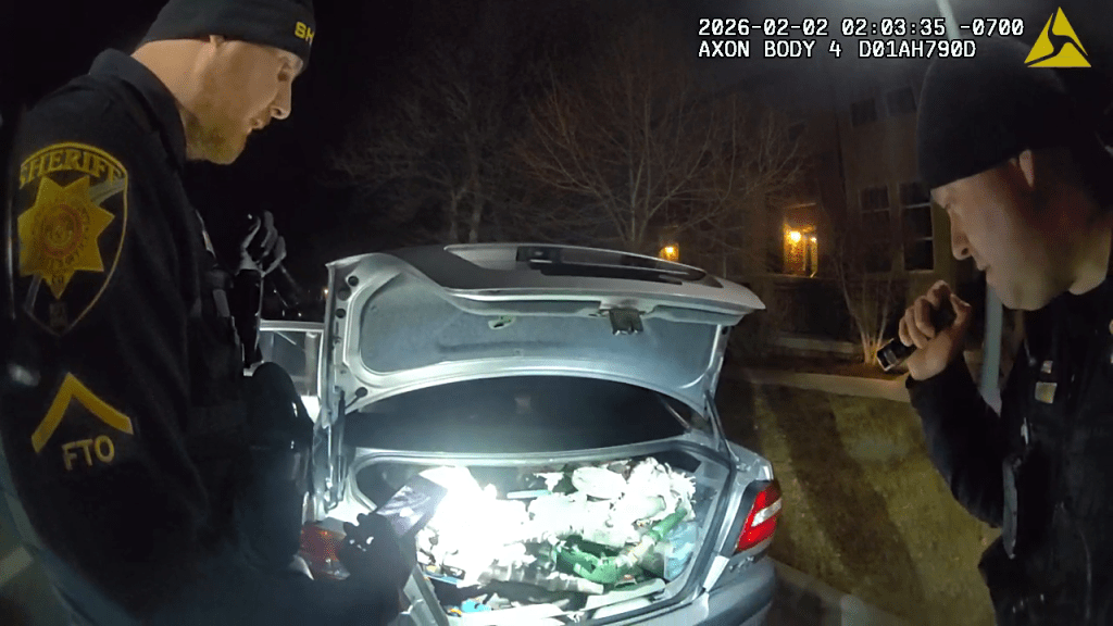 Arrests Made in Sprinkler Backflow Valve Thefts - Douglas County ...